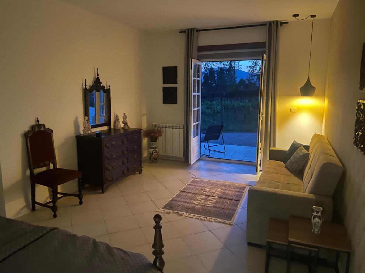 Pedraca Quinta Da Paixao - Bed & Breakfast מראה חיצוני תמונה